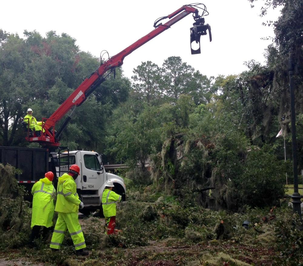 Crews work to clear downed tree.