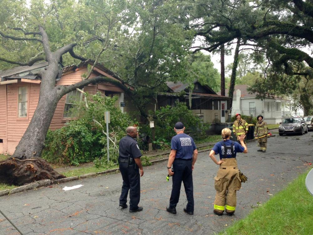 Heavy wind pushes tree on home.