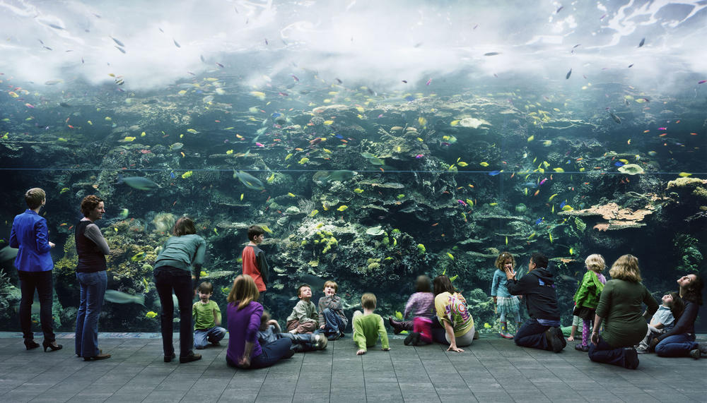 Thomas Struth, Aquarium, Atlanta, Georgia, 2013, chromogenic print, 81.7 x 140.5 inches. High Museum of Art, Atlanta.