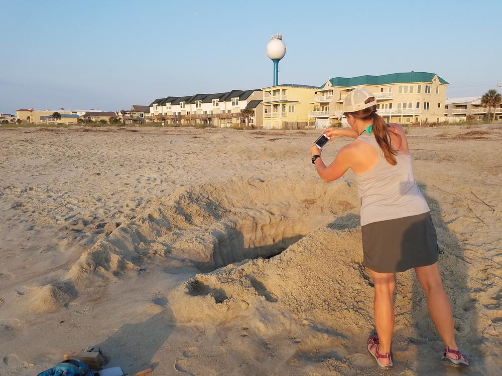 Tammy Smith of the Tybee Sea Turtle Project photographs a hole someone dug on the Tybee beach so she can warn people of the dangers such holes pose to sea turtles.