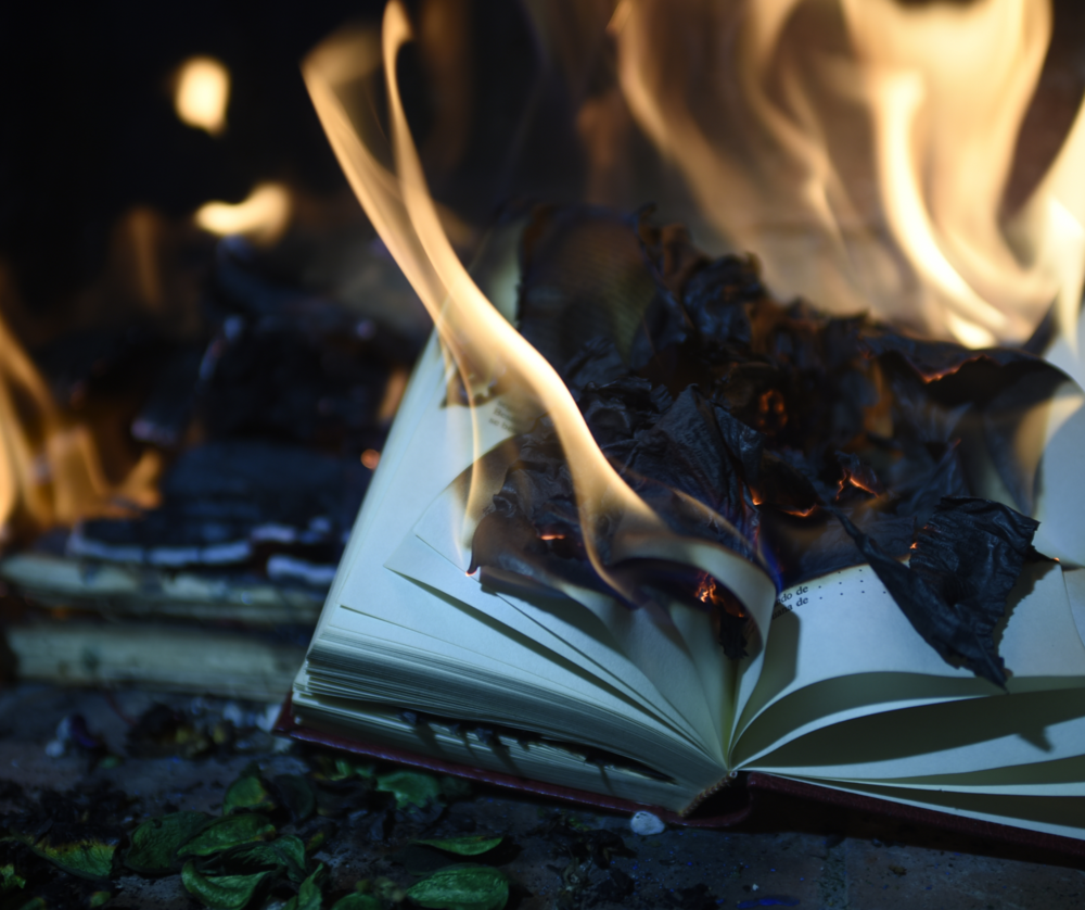 An author's second appearance at a Georgia university was cancelled after a few students burned copies of her book following an angry exchange during her first talk, which focused on diversity.