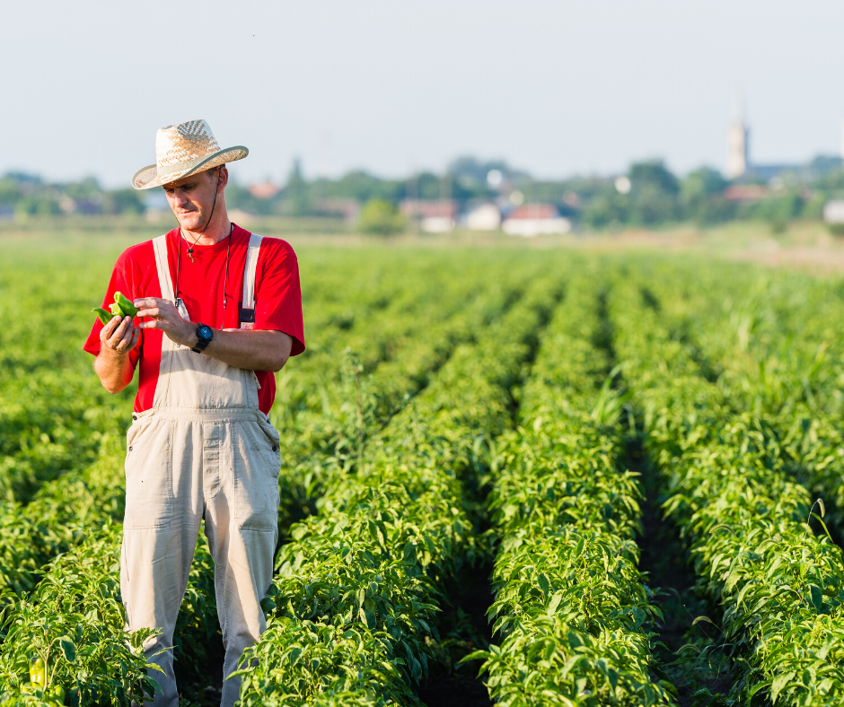 The ongoing court fight over water resources that involves Georgia, Florida and Alabama is now focused on south Georgia farmers. 