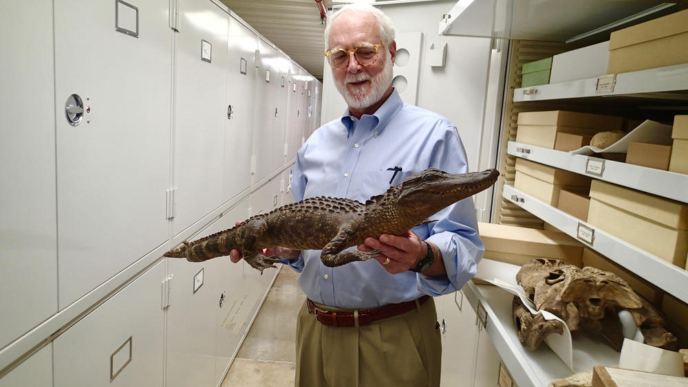 Former Smithsonian secretary and Georgia Tech President Emeritus Wayne Clough reflects on life in South Georgia in his new memoir, "Things New and Strange."