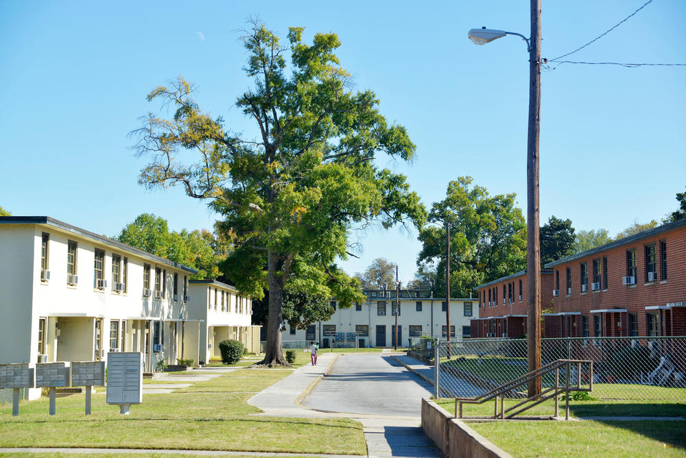 A draconian budget passed by Macon-Bibb County commissioners weeks ago zeroed out local funding for libraries, buses and the local department of public health. 