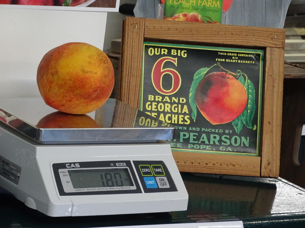 A 1.8-pound peach was grown in Peach County at Pearson Farm.