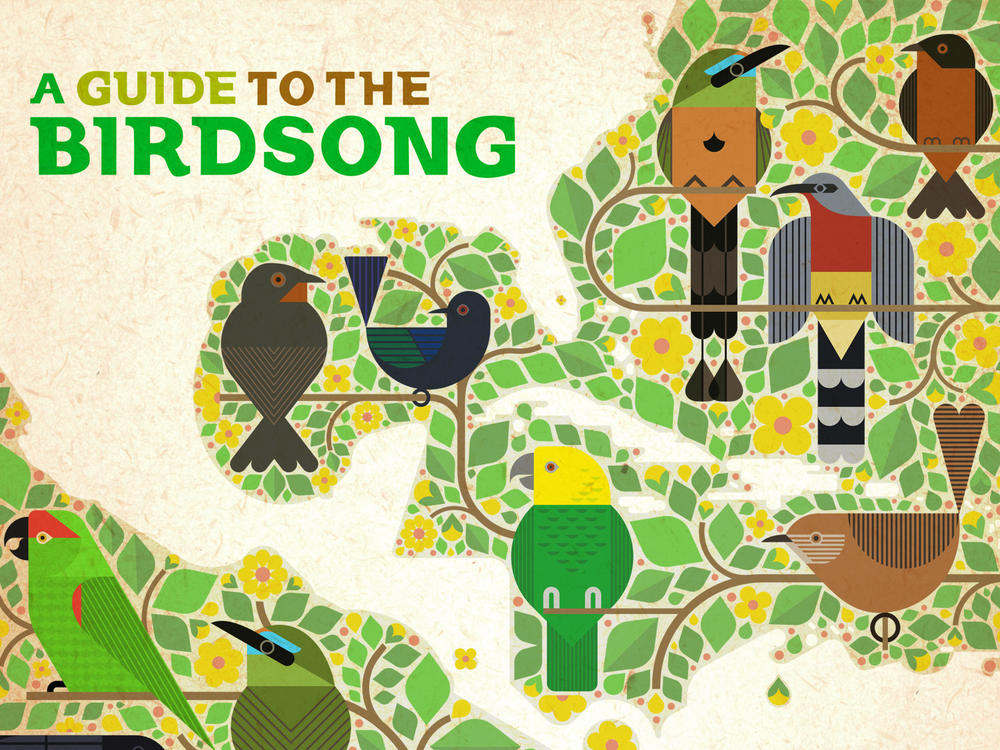 Ten artists from Mexico, Central America and the Caribbean recorded tracks using birdsong from their country, with all profits of the vinyl and digital release going to bird conservation projects.