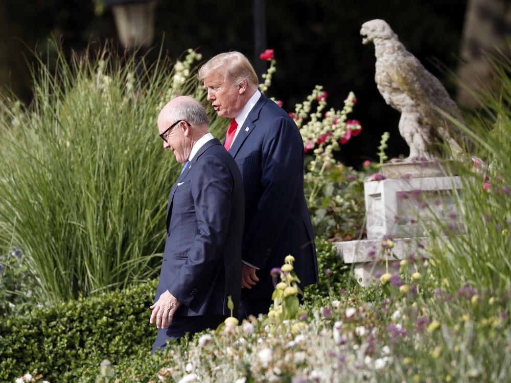 President Trump walks with U.S. Ambassador Robert Wood 