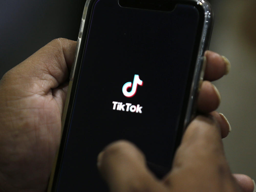 The White House and Congress are increasingly clamping down on TikTok, the Chinese-owned video-sharing app that is a sensation among teenagers and 20-somethings. Officials fear the app could be used as a spy tool.