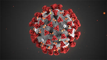 Dr. Keren Landman and Dr. Carlos del Rio joined "On Second Thought" to discuss how existing inequities play into the risks - and outcomes - of a global pandemic like coronavirus.