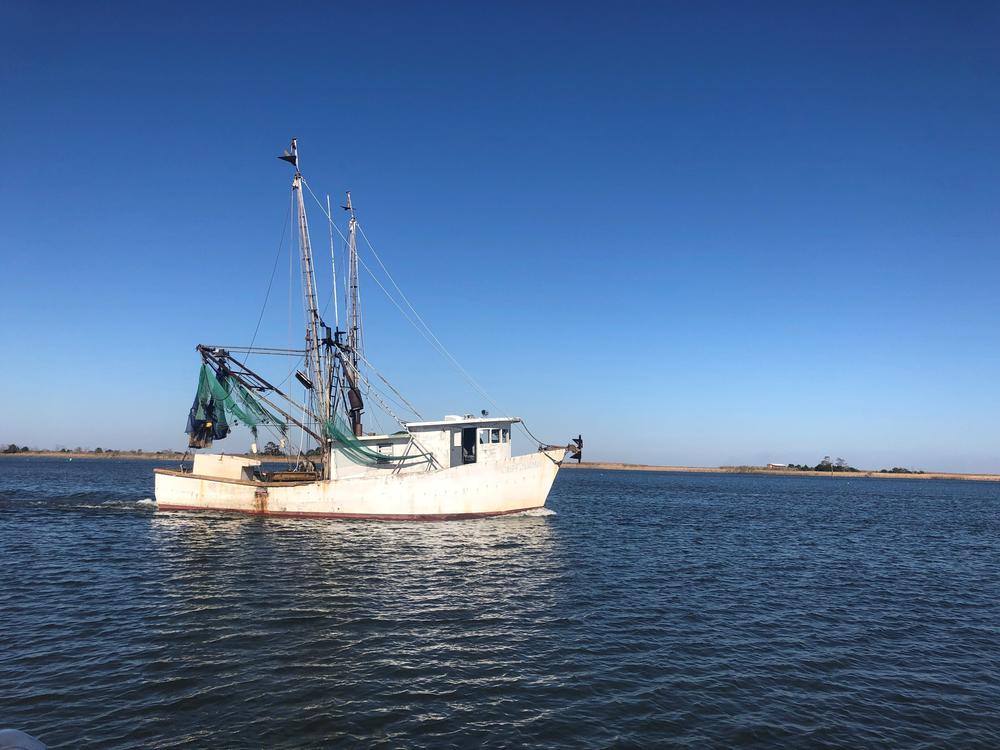 A fishing vessel plying the waters of Apalachicola Bay.