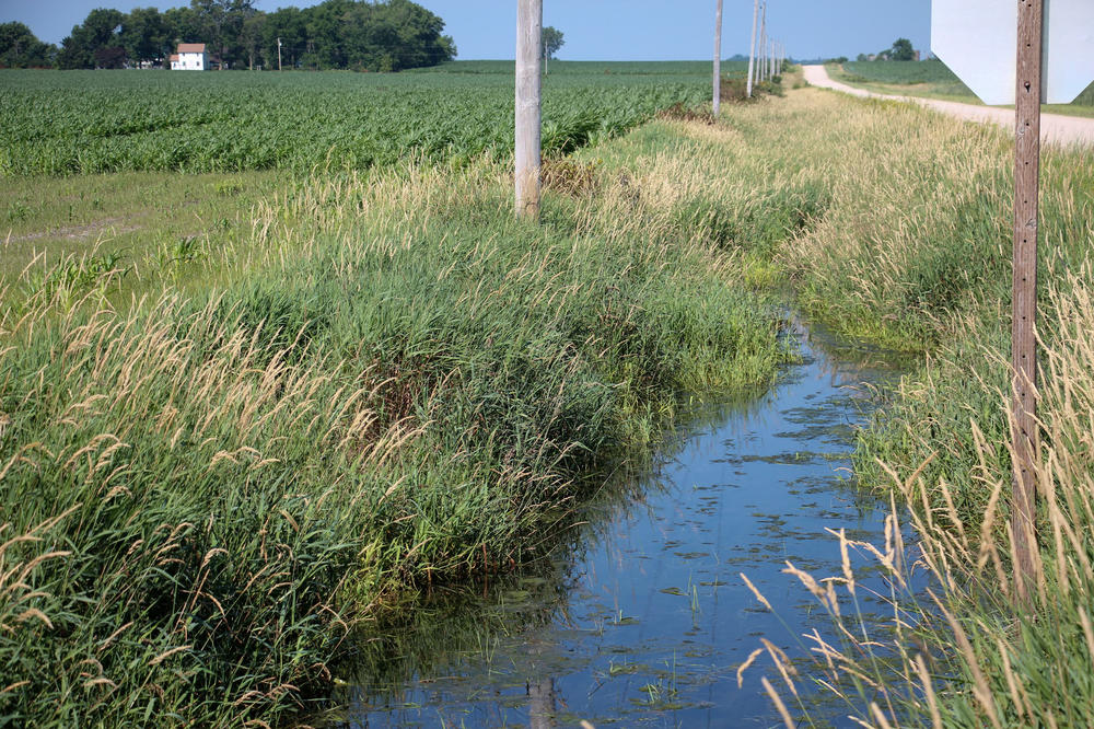 Ray Williams bought this land just north of the small town of Dumont, in Butler County, Iowa.