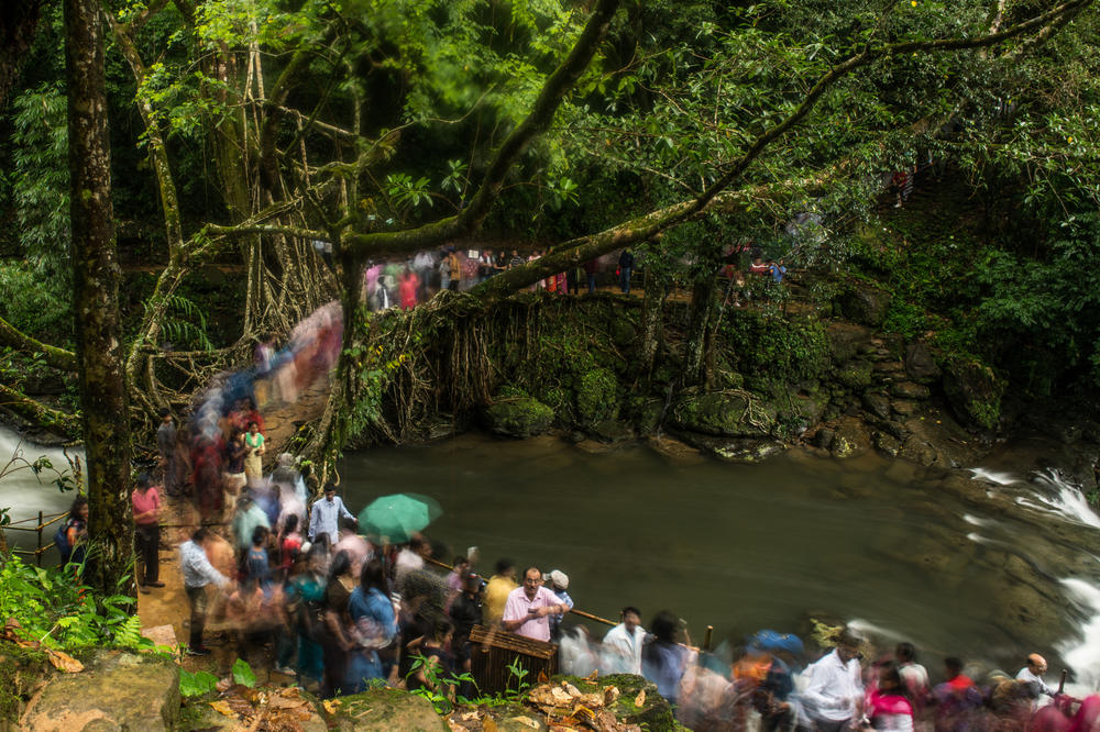 A crowd of tourists walks across a 150-year-old living root bridge near Nohwet village, Meghalaya. This bridge is popular among tourists because it's easily accessible from the vehicular road.