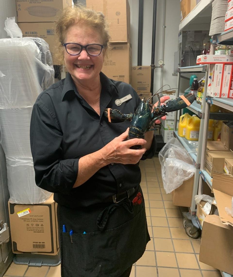 Red Lobster employee Lora Jones holds her special discovery. The blue lobster now lives at the Akron Zoo.