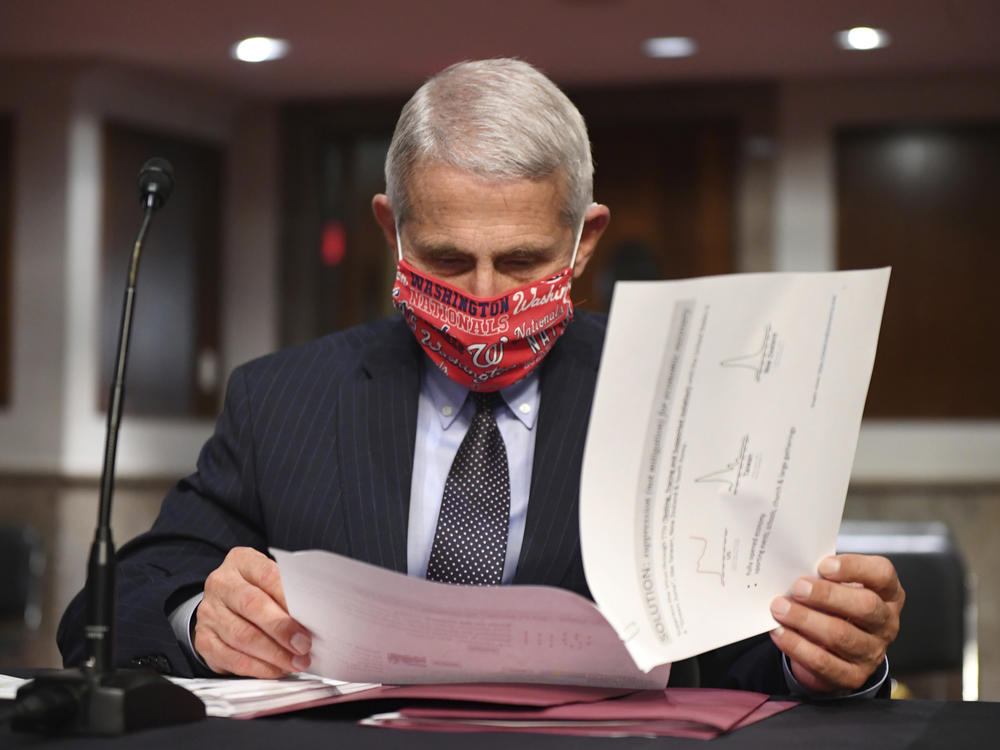 Dr. Anthony Fauci, director of the National Institute for Allergy and Infectious Diseases, prepares to testify before a Senate panel in June. Coronavirus cases could be on the rise in the Midwest, Fauci said Tuesday.