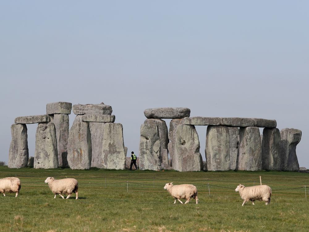 Sheep graze in front of southern England's Stonehenge in April. Scientists say they've determined some of the structure's sandstone megaliths came from 15 miles away.