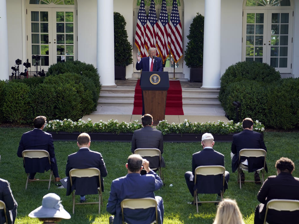 Like his predecessors, President Trump often uses the Rose Garden for ceremonies and news conferences.