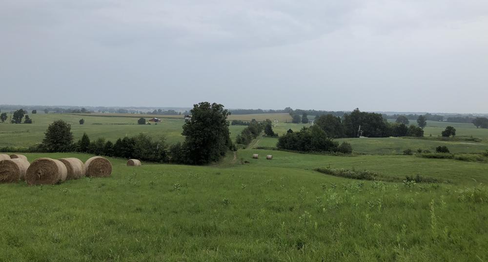 A view of Webster County, Ky., from the back of my grandfather's farm.