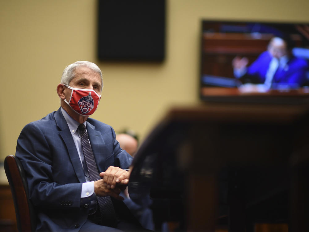 Dr. Anthony Fauci, director of the National Institute of Allergy and Infectious Diseases, listens during a House  subcommittee hearing on Friday.