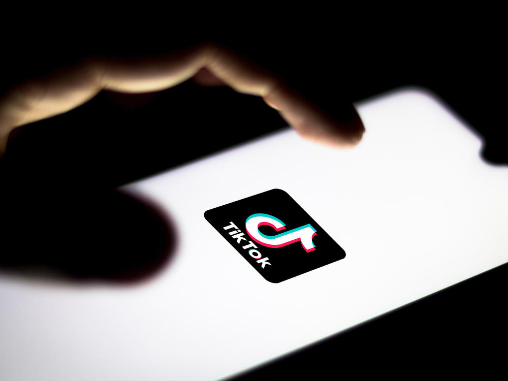 TikTok has been under fire in Washington. The Trump administration and some Democrats in Congress have been raising national security concerns about the Chinese-owned app.