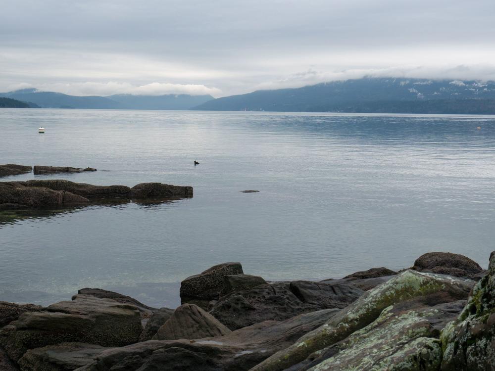 View of the waterfront from Vancouver Island, British Columbia, Canada on January 20, 2020. The number of American pleasure craft arriving from Washington state has alarmed Canadians living just across the border.