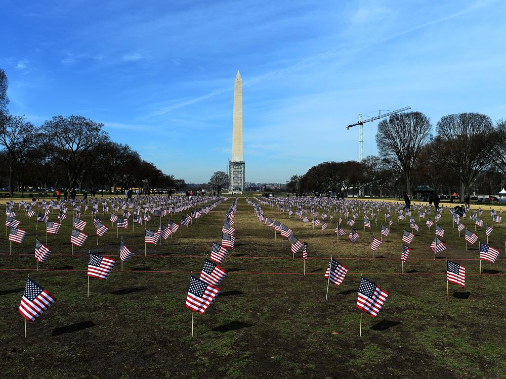 Some 1,892 American flags are installed on the National Mall in Washington, DC in 2014. The Iraq and Afghanistan veterans installed the flags to represent the 1,892 veterans and service members who committed suicide this year as part of the 