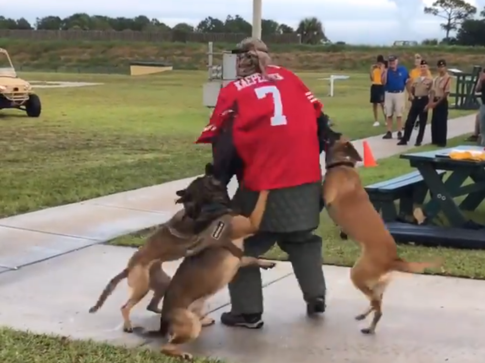 A screenshot of a video posted on Twitter by Billy Corben shows a K-9 demonstration with a man wearing a Colin Kaepernick jersey.