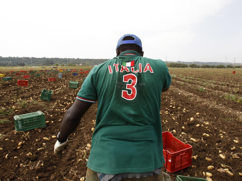 A migrant pauses as he picks potatoes in Siracusa, Sicily, Italy, in 2015.
