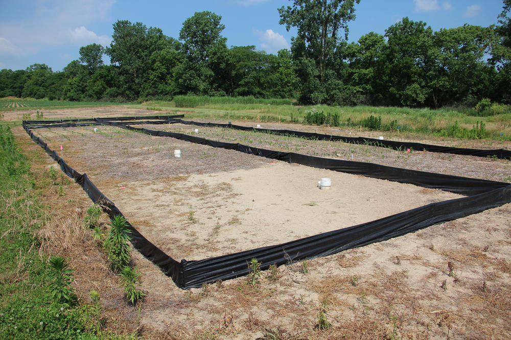 Soon after he returned to Ohio State University in the late 1980s, Rattan Lal laid out these research plots to study the capacity of soil to store carbon.