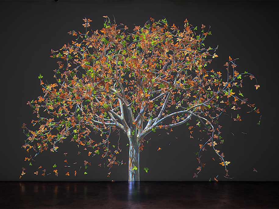 In Jennifer Steinkamp's digital animations, trees gradually change color, lose leaves, sprout new leaves, grow flowers, and drop petals to the ground. She's done a series of such trees in honor of teachers who've had a profound influence on her.