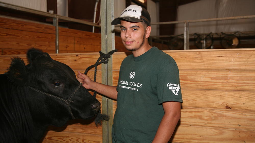 It was the final fair for Antonio Treto Alvarez, 18, who just graduated high school. He said he'd miss his giant, nameless steer, as well as the 4-H program he started in 11 years ago.