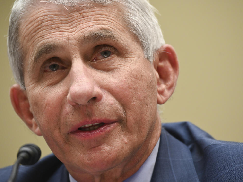 Dr. Anthony Fauci testifies last week in a House subcommittee hearing on the coronavirus. In an online forum Wednesday hosted by Harvard University, he shared that he has received death threats.