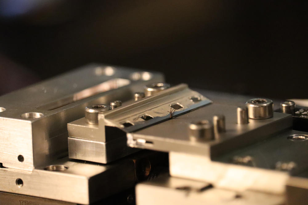 An experimental setup is used to perform hair-cutting experiments inside a scanning electron microscope in the Tasan Group lab at the Massachusetts Institute of Technology in 2019.