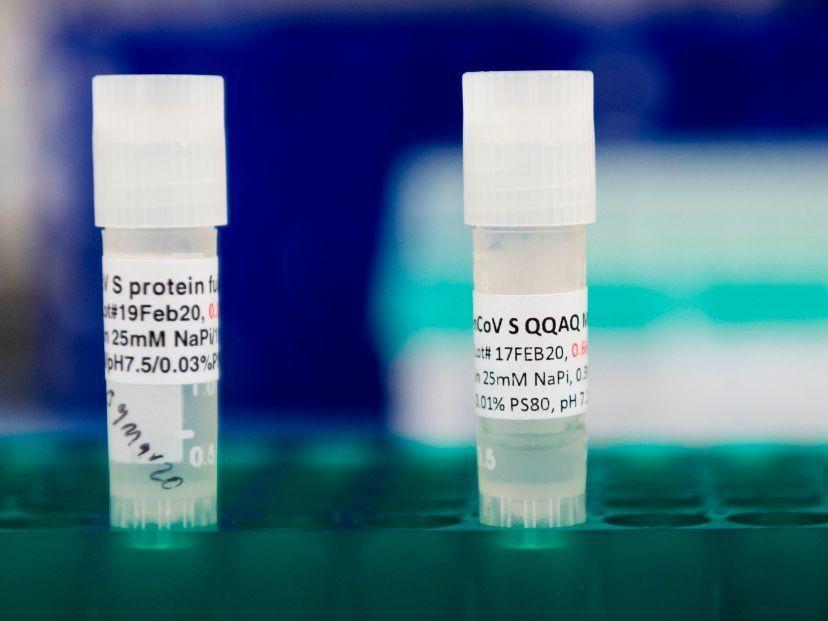 Potential COVID-19 vaccines are kept in a tray at Novavax labs in Maryland on March 20. The Novavax vaccine requires an immune-boosting ingredient called an adjuvant to be effective.