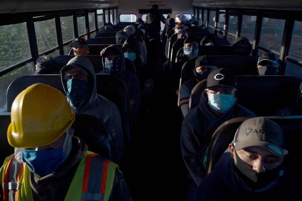 Farm laborers arrive for their shift in Greenfield, California, April 28, 2020. Traveling to the fields in crowded buses is one risk among others that workers often face daily.