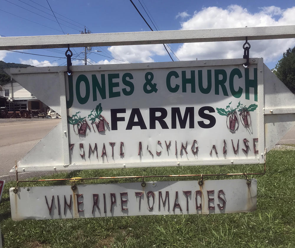 In June, 10 of about 80 temporary workers at Jones & Church Farms in Unicoi County, Tenn., tested positive for COVID-19. Nationally, at least 3,600 positive cases have been reported among farmworkers.