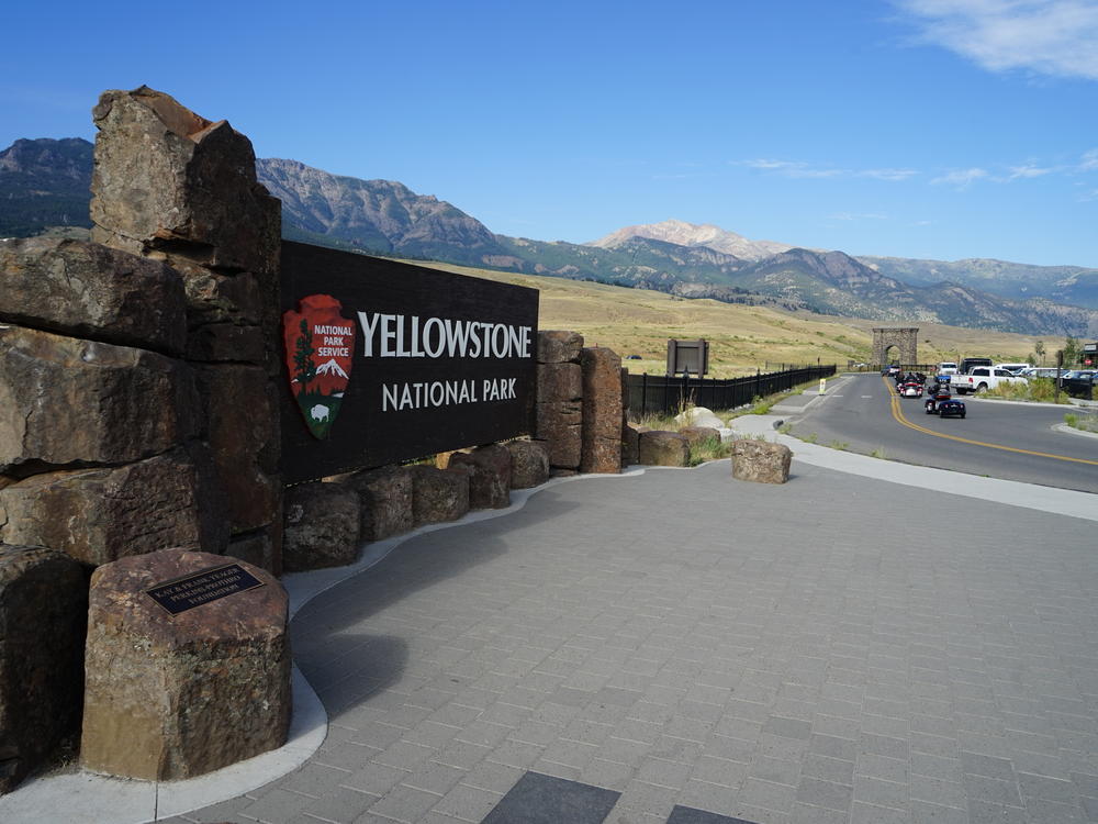 In July, Yellowstone National Park saw more car traffic than it did during the same month last year.