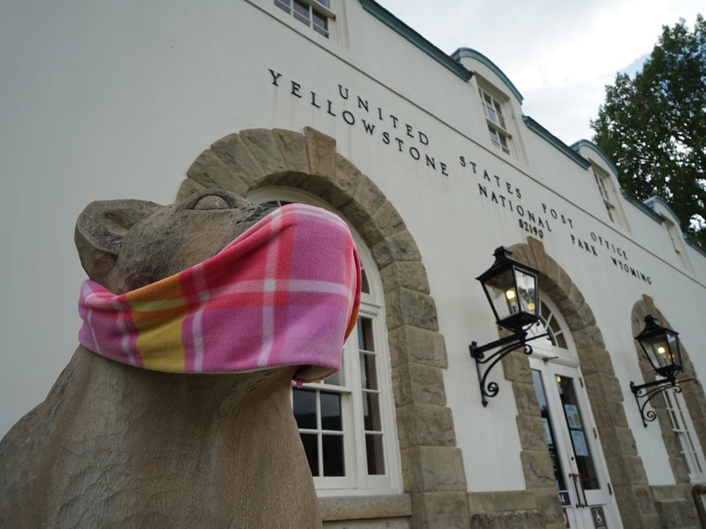Bear statues at Yellowstone National Park's headquarters wear masks to remind visitors to take precautions against the coronavirus. Masks, though, are not mandatory in the park.