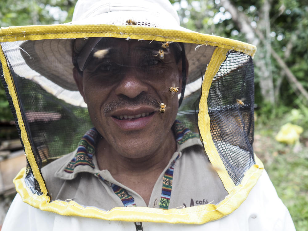 The workers who used to sew beekeeping suits for Domingo de la Cruz Toma, a beekeeping specialist for the Guatemalan cooperative Maya Ixil, are now sewing face masks.