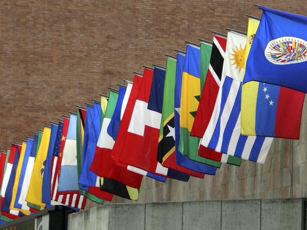The flags of the Organization of American States (OAS)