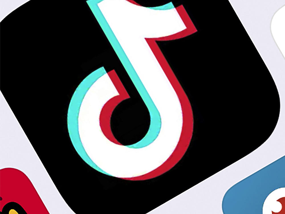TikTok has filed a federal lawsuit against the Trump administration after the White House issued an executive order that would effectively ban the hugely popular app from operating in the United States.