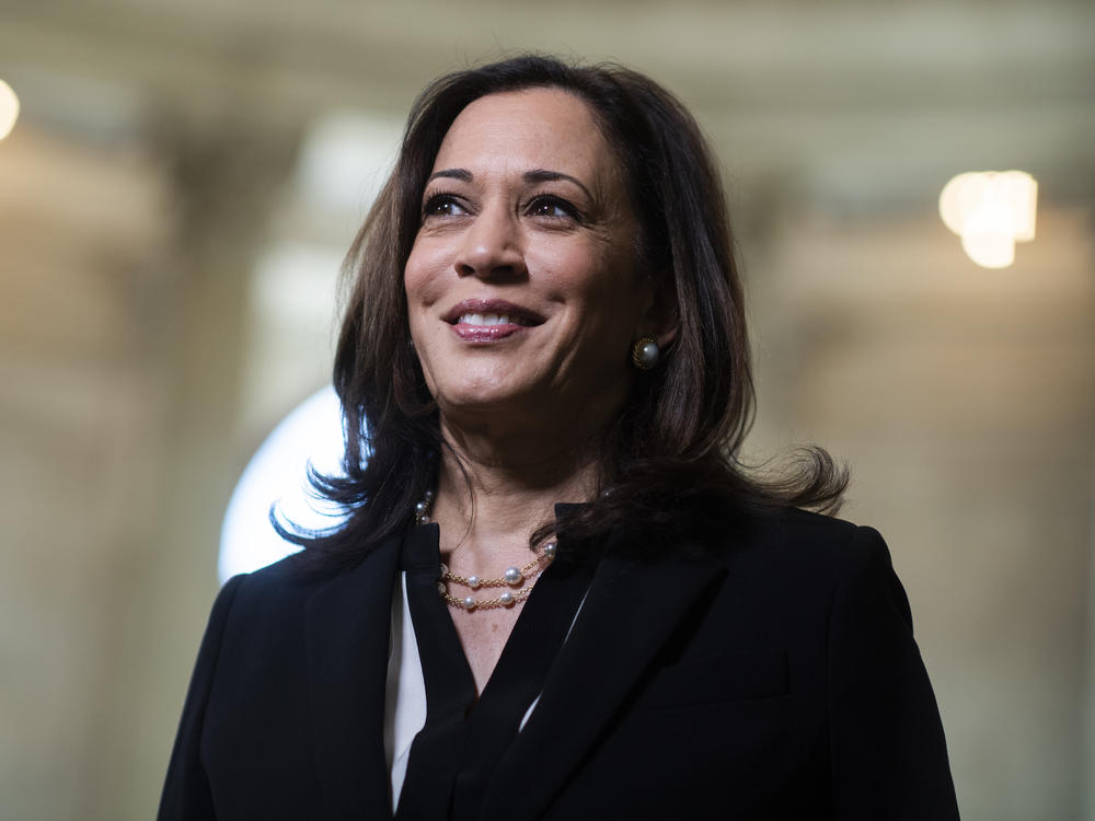 Sen. Kamala Harris is Democratic presidential hopeful Joe Biden's pick as his running mate — a choice that many are celebrating in India, where Harris' mother was from.