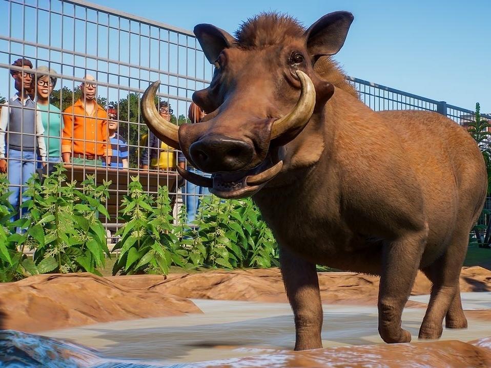 Your animals will demand your attention in <em>Planet Zoo</em>, just one of several simulation games that might distract you from quarantine.