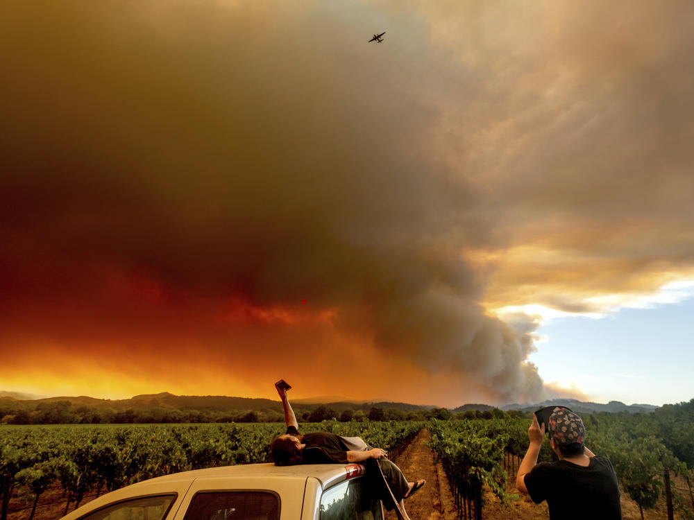 Northern California's LNU Lightning Complex fire burns on Thursday.