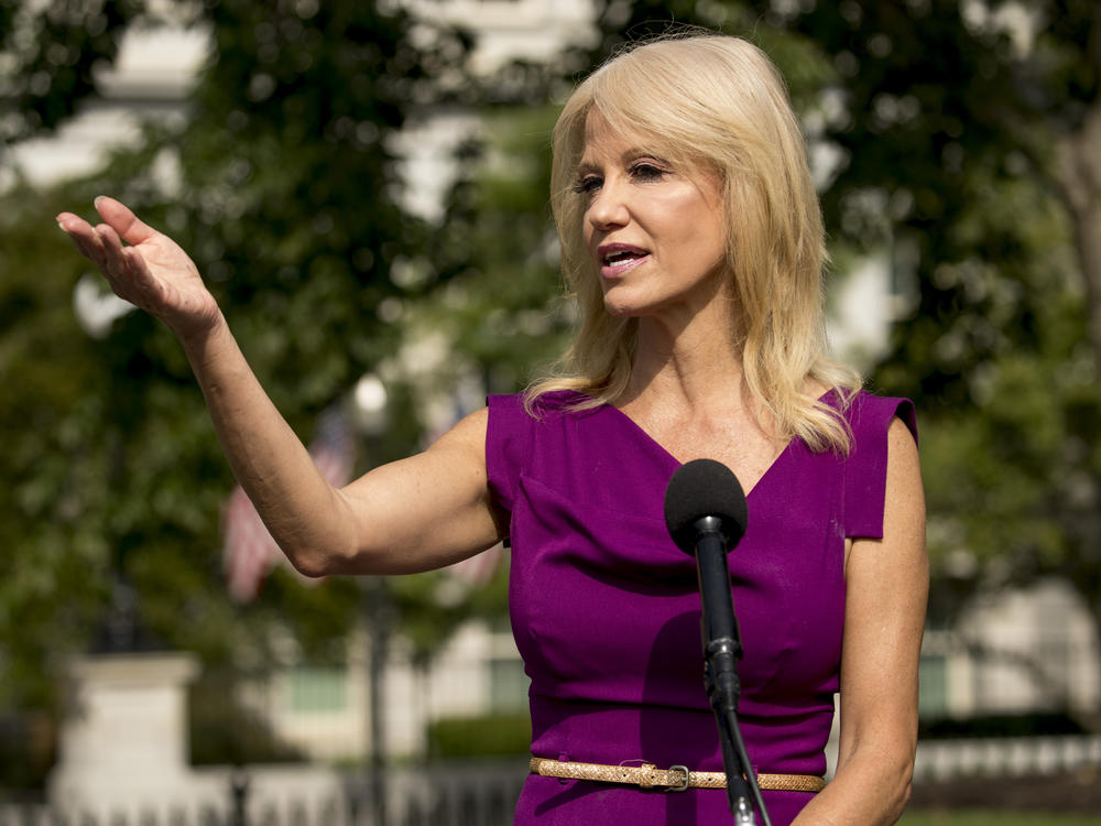 Kellyanne Conway To Leave White House Job, Citing Family Concerns | Georgia Public Broadcasting