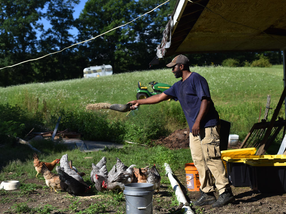 Daryl Minton, 45, throws chicken feed into a yard where the chickens roam at the Triple J Farm in Windsor, N.Y. Minton lives and works on the farm his grandfather, James Minton, bought it a decade ago. Between lending discrimination and rising costs, many obstacles stand in the way of Black Americans looking to own farmland.