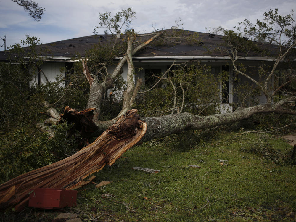 A fallen tree limb in the front yard of a house in Lake Charles, La., after Hurricane Laura made landfall on Thursday.
