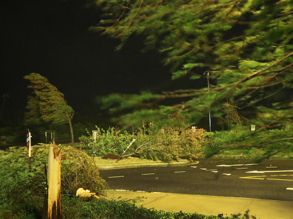 Hurricane Laura blows trees near the Golden Nugget Hotel in Lake Charles, La., as it comes ashore early Thursday. The storm is blamed for four deaths, all caused by trees falling on homes.