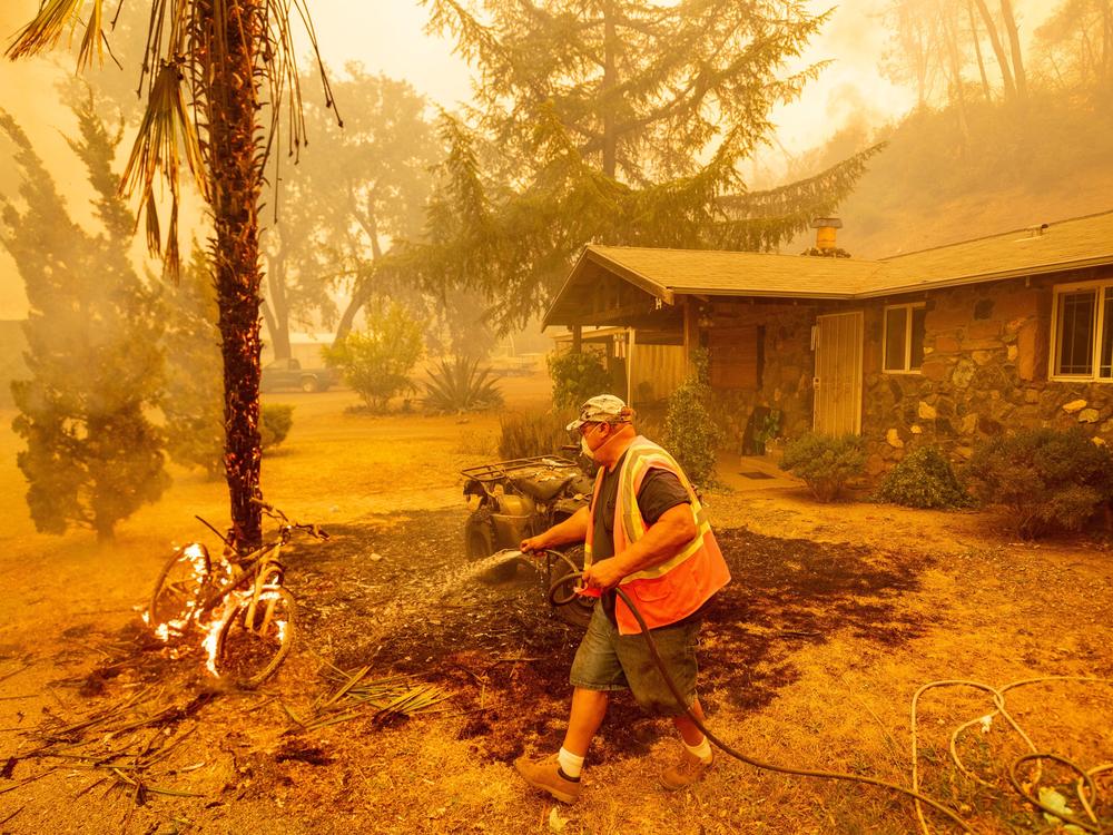 A Californian resident hoses down a burning bicycle and tree as flames from the Hennessey Fire approach a property in the Spanish Flat area of Napa, Calif., on Aug. 18.