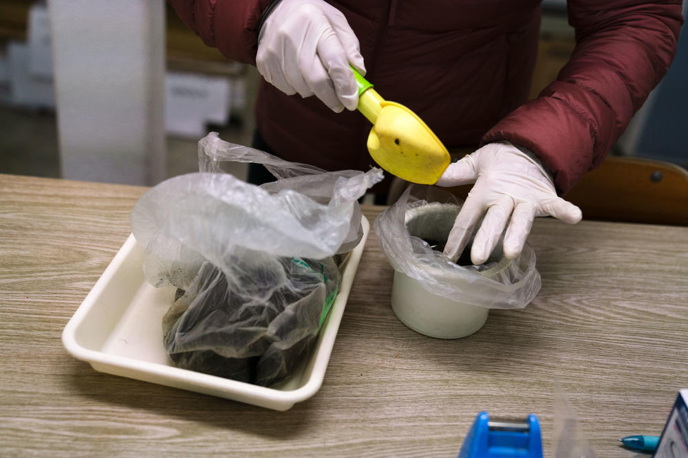 Tomoko measures soil into a container that will go through a donated gamma counter, a big cylindrical machine that measures radioactive particles.