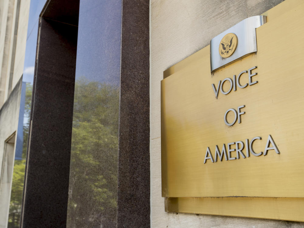 Veteran journalists of the Voice of America say the head of their parent agency is endangering their safety and national security.